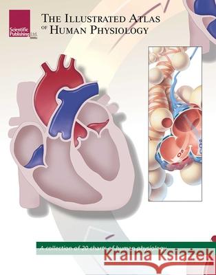 Illustrated Atlas of Human Physiology: A Collection of 20 Anatomical Charts of Human Physiology Scientific Publishing 9781932922981 Scientific Publishing - książka