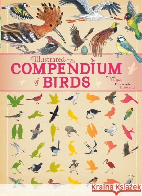 Illustrated Compendium of Birds Emmanuelle Tchoukriel 9781445151311 Hachette Children's Group - książka