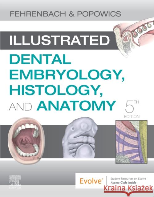 Illustrated Dental Embryology, Histology, and Anatomy Margaret J. Fehrenbach Tracy Popowics 9780323611077 Saunders - książka