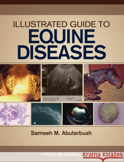 Illustrated Guide to Equine Diseases Sameeh M. Abutarbush 9780813810713 Wiley-Blackwell - książka
