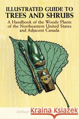Illustrated Guide to Trees and Shrubs: A Handbook of the Woody Plants of the Northeastern United States and Adjacent Canada/Revised Edition Graves, Arthur Harmount 9780486272580 Dover Publications - książka