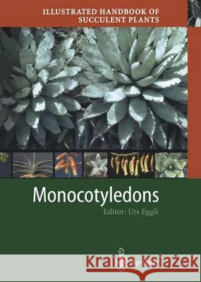 Illustrated Handbook of Succulent Plants: Monocotyledons C. C. Walker 9783642625855 Springer - książka