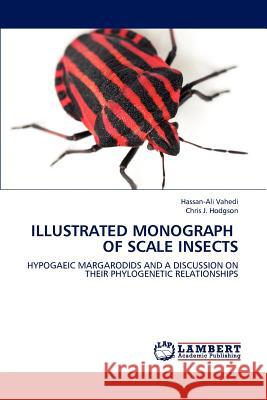 Illustrated Monograph of Scale Insects Hassan-Ali Vahedi, Chris J Hodgson 9783848483631 LAP Lambert Academic Publishing - książka