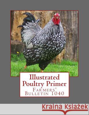 Illustrated Poultry Primer: Farmers' Bulletin 1040 U. S. Dept of Agriculture                Jackson Chambers 9781979830805 Createspace Independent Publishing Platform - książka