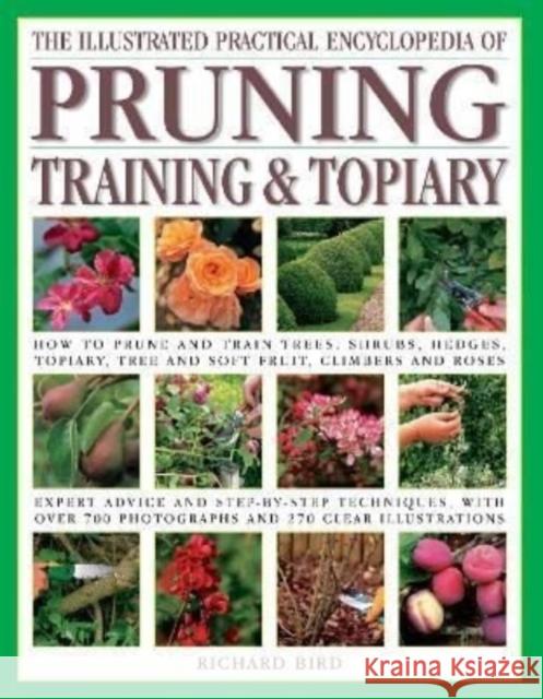 Illustrated Practical Encyclopedia of Pruning, Training and Topiary: How to Prune and Train Trees, Shrubs, Hedges, Topiary, Tree and Soft Fruit, Climb Bird, Richard 9781846814723 Anness Publishing - książka
