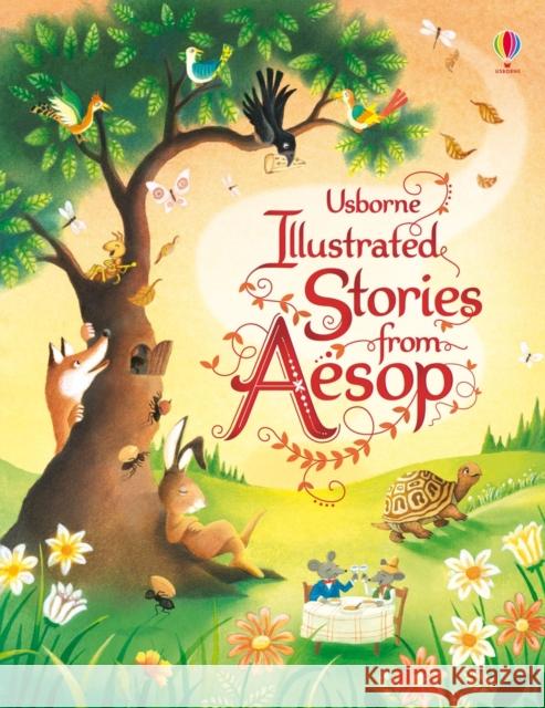 Illustrated Stories from Aesop Susanna Davidson & Giuliano Ferri 9781409538875 Usborne Publishing Ltd - książka