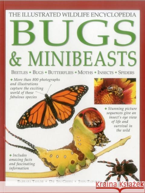 Illustrated Wildlife Encyclopedia: Bugs & Minibeasts Taylor Barbara 9781861474223 Anness Publishing - książka