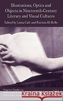 Illustrations, Optics and Objects in Nineteenth-Century Literary and Visual Cultures Luisa Cal Patrizia D 9780230221970 Palgrave MacMillan - książka