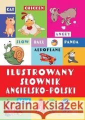 Ilustrowany słownik angielsko-polski praca zbiorowa 9788367498531 Ibis/Books - książka