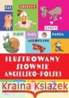 Ilustrowany słownik angielsko-polski praca zbiorowa 9788367498531 Ibis/Books