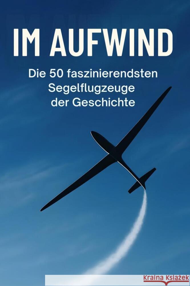 Im Aufwind Schmied, Ben 9783695370146 FlipFlop - książka