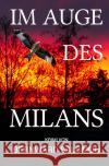 Im Auge des Milans Salomon, Bernward 9783754113646 epubli
