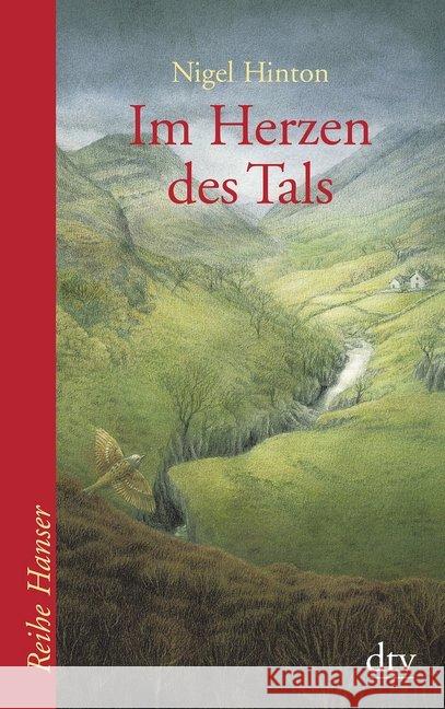 Im Herzen des Tals : Roman Hinton, Nigel   9783423620802 DTV - książka