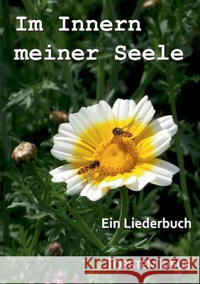 Im Innern meiner Seele: Ein Liederbuch Torsten Ideus 9783741276989 Books on Demand - książka