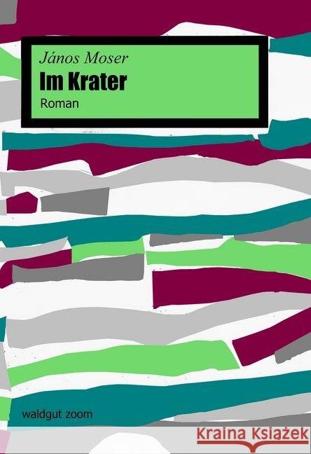 Im Krater : Roman Moser, János 9783037401217 Waldgut - książka