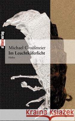 Im Leuchtkäferlicht Groißmeier, Michael 9783865200808 Allitera Verlag - książka
