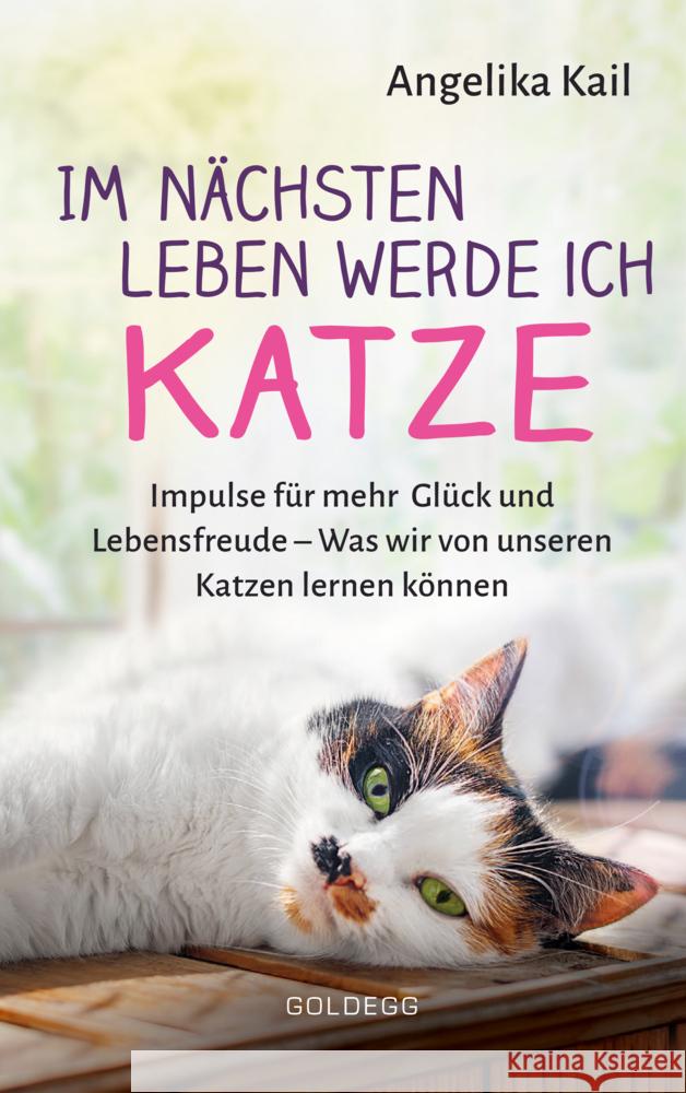 Im nächsten Leben werde ich Katze. Im nächsten Leben werde ich Katze. Impulse für mehr Glück und Lebensfreude - Was wir von unseren Katzen lernen können. Stressbewältigung, Selbstfindung und ein erfül Kail, Angelika 9783990602126 Goldegg - książka