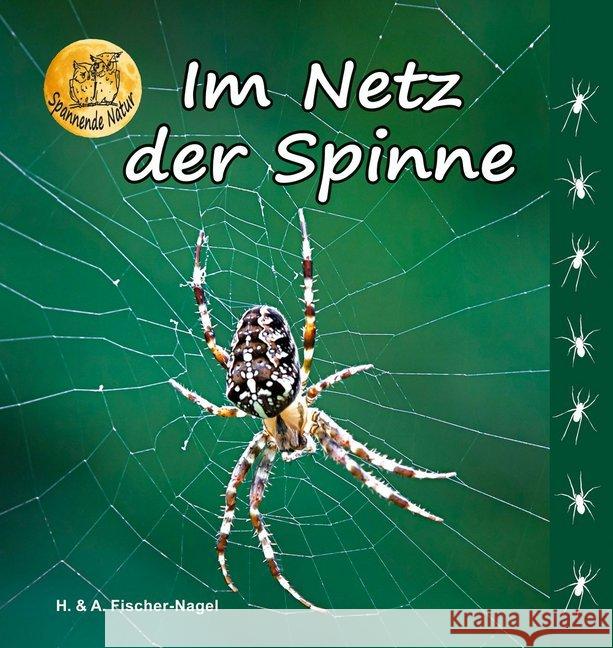 Im Netz der Spinne Fischer-Nagel, Heiderose; Fischer-Nagel, Andreas 9783930038688 Fischer-Nagel - książka