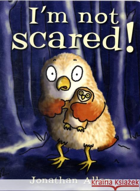 I'm Not Scared! Jonathan Allen 9781905417872 Boxer Books Limited - książka