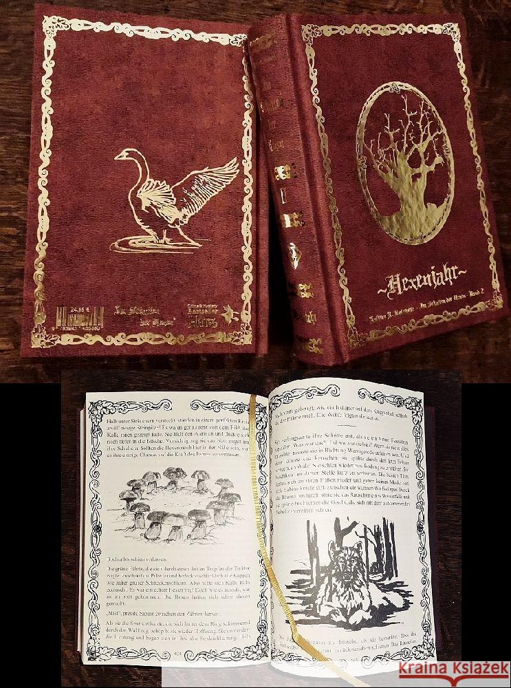 Im Schatten der Hexen II Hotowetz, Kathrin 9783943455380 Geistmühle Verlag - książka