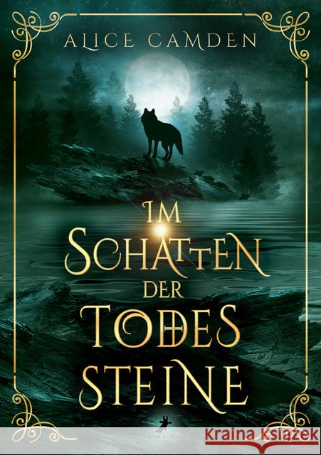 Im Schatten der Todessteine Camden, Alice 9783960897071 Dead Soft Verlag - książka