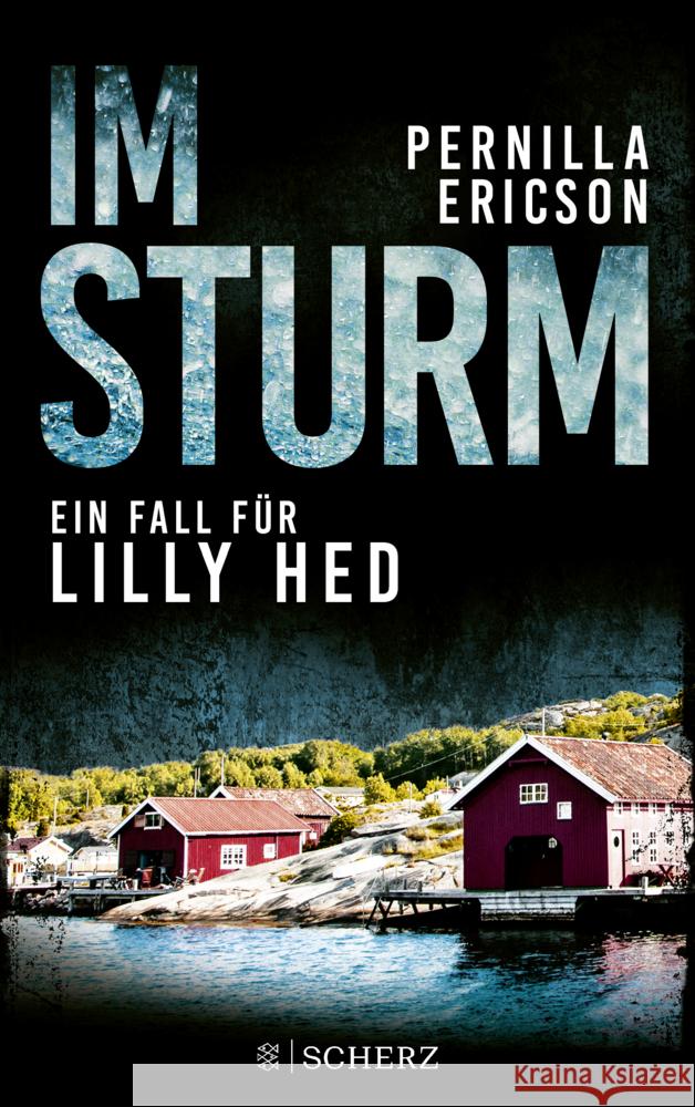 Im Sturm Ericson, Pernilla 9783651001107 FISCHER Scherz - książka