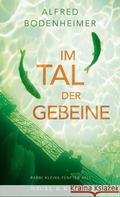 Im Tal der Gebeine : Rabbi Kleins fünfter Fall Bodenheimer, Alfred 9783312010851 Nagel & Kimche - książka