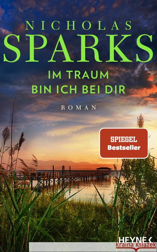 Im Traum bin ich bei dir Sparks, Nicholas 9783453273962 Heyne - książka