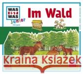 Im Wald, 1 Audio-CD : Sehen Hören Mitmachen  9783788628208 Tessloff - książka