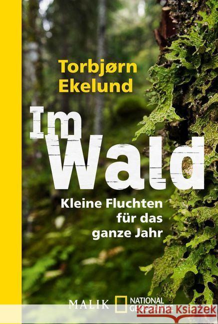 Im Wald : Kleine Fluchten für das ganze Jahr Ekelund, Torbjørn 9783492404839 Malik - książka