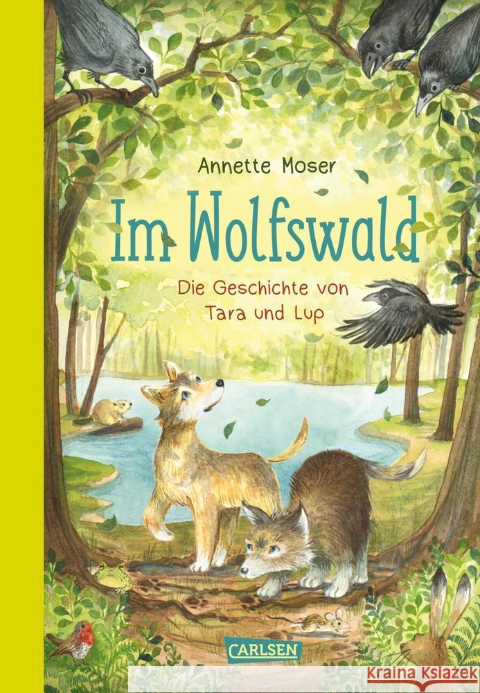 Im Wolfswald - Die Geschichte von Tara und Lup Moser, Annette 9783551555298 Carlsen - książka