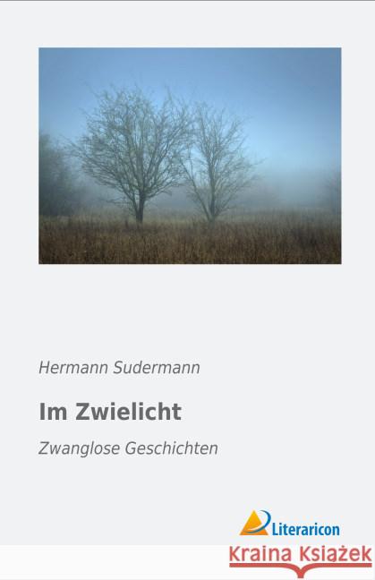 Im Zwielicht : Zwanglose Geschichten Sudermann, Hermann 9783956974809 Literaricon - książka