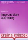 Image and Video Color Editing Shiguang Liu 9783031260322 Springer