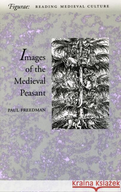 Image of the Medieval Peasant as Alien and Exemplary Freedman, Paul 9780804733731 Stanford University Press - książka