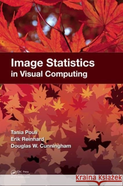Image Statistics in Visual Computing Tania Pouli 9781568817255  - książka