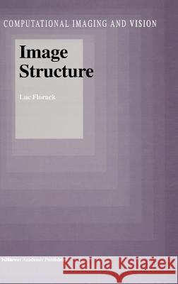 Image Structure Luc Florack L. M. Florack 9780792348085 Kluwer Academic Publishers - książka