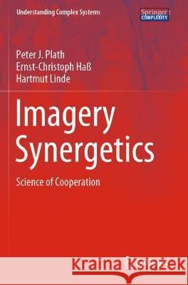 Imagery Synergetics Peter J. Plath, Ernst-Christoph Haß, Hartmut Linde 9783030977832 Springer International Publishing - książka