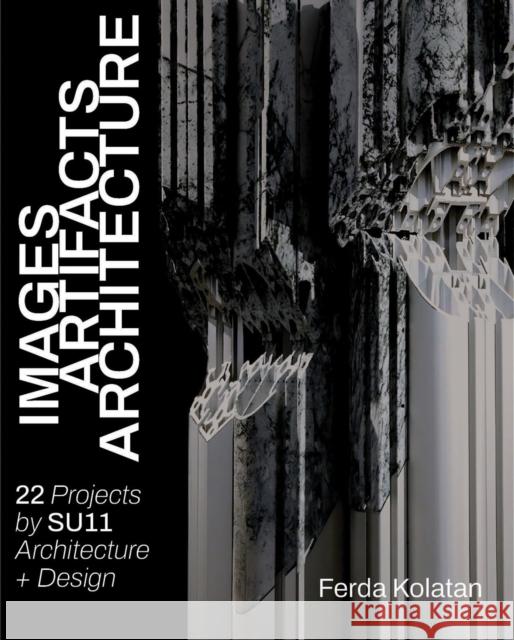 Images, Artifacts, Architecture Ferda Kolatan 9781961856813 Applied Research & Design - książka