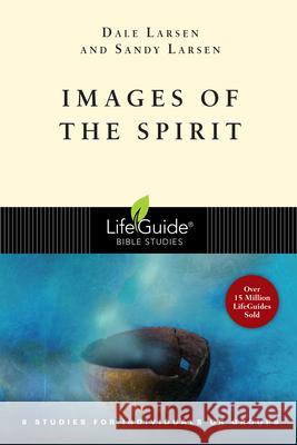 Images of the Spirit Larsen, Dale 9780830830350 IVP Connect - książka