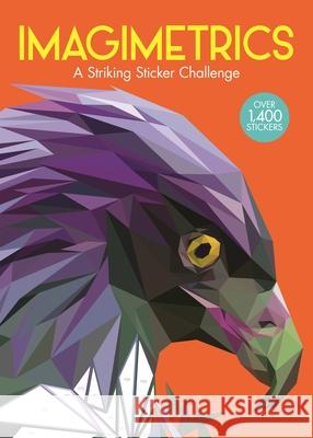 Imagimetrics: A Striking Sticker Challenge Barbara Ward 9781780557380 Michael O'Mara Books Ltd - książka