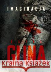 Imaginacja Rafał Glina 9788381326094 Zwierciadło - książka