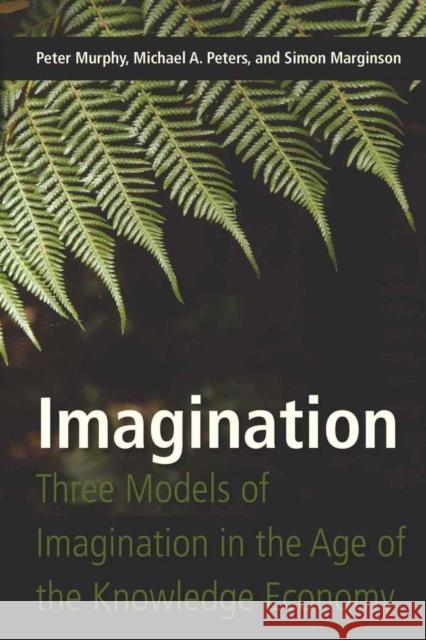 Imagination: Three Models of Imagination in the Age of the Knowledge Economy Murphy, Peter 9781433105296 Peter Lang Publishing Inc - książka