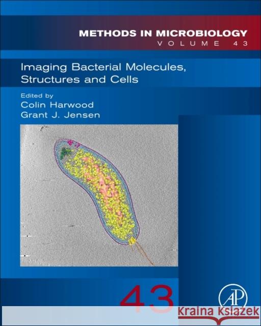 Imaging Bacterial Molecules, Structures and Cells: Volume 43 Harwood, Colin 9780128093924 Academic Press - książka