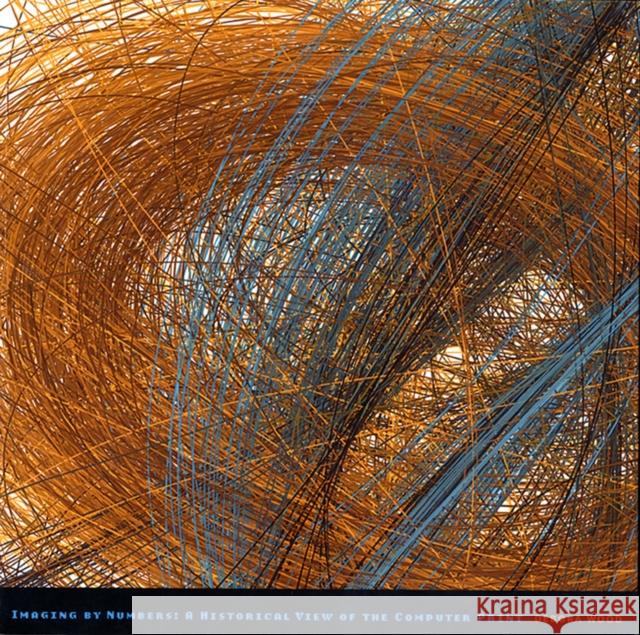 Imaging by Numbers: A Historical View of the Computer Print Debora Wood 9780810125056 Northwestern University Press - książka