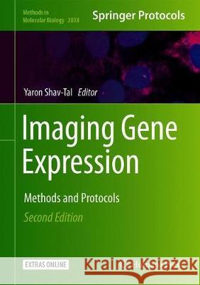 Imaging Gene Expression: Methods and Protocols Shav-Tal, Yaron 9781493996735 Humana - książka