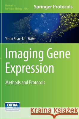 Imaging Gene Expression: Methods and Protocols Shav-Tal, Yaron 9781627035255 Humana Press - książka