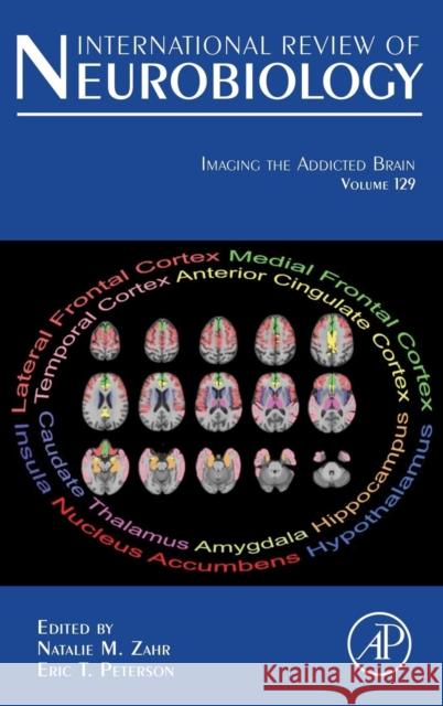 Imaging the Addicted Brain: Volume 129 Zahr, Natalie 9780128039144 Academic Press - książka