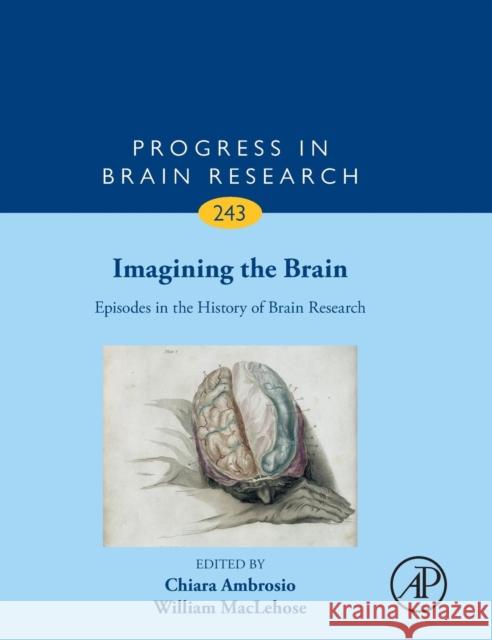 Imagining the Brain: Episodes in the History of Brain Research: Volume 243 Ambrosio, Chiara 9780128142578 Academic Press - książka