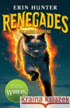 Renegades: The Magic Awakens Erin Hunter 9780702348785 Scholastic