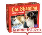 Cat Shaming 2025 Day-to-Day Calendar Pedro Andrade 9781524889319 Andrews McMeel Publishing